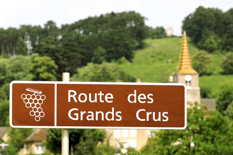 route des grands crus de bourgogne