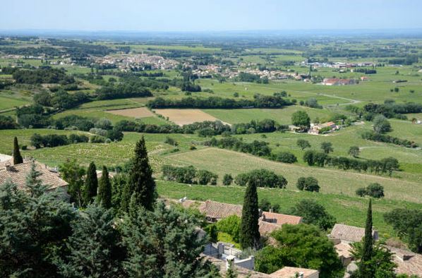 vignes-vignoble-paysage-rhone-alpes-seguret-tourisme-oenotourisme